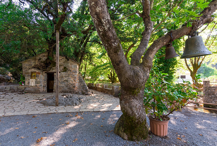 Vasta1 Olympia rally