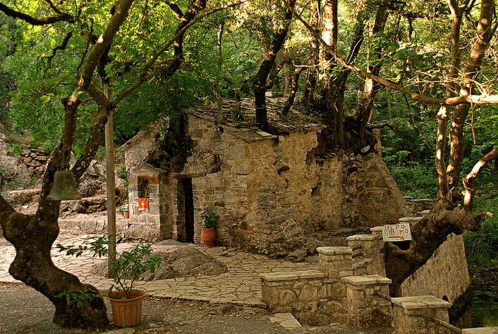 Vasta2 Olympia rally