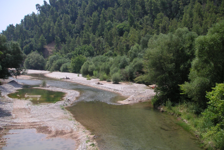 erymanthos2 Olympia rally