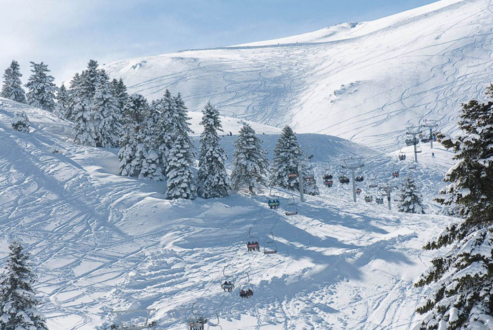 helmos4 Olympia rally