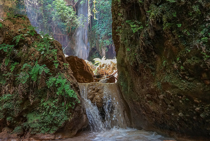 nemouta2 Olympia rally