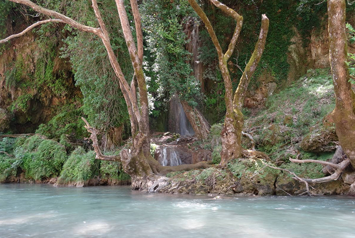 nemouta3 Olympia rally