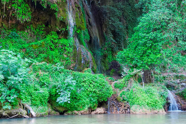 nemouta4 Olympia rally