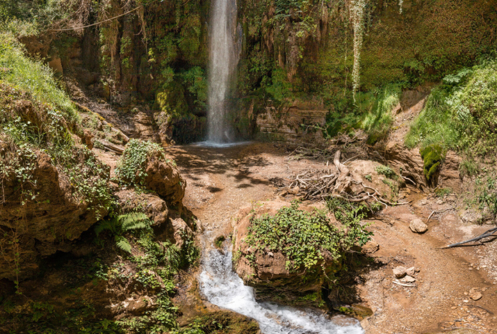 nemouta5 Olympia rally