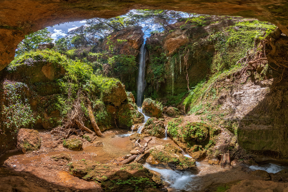 nemouta6 Olympia rally