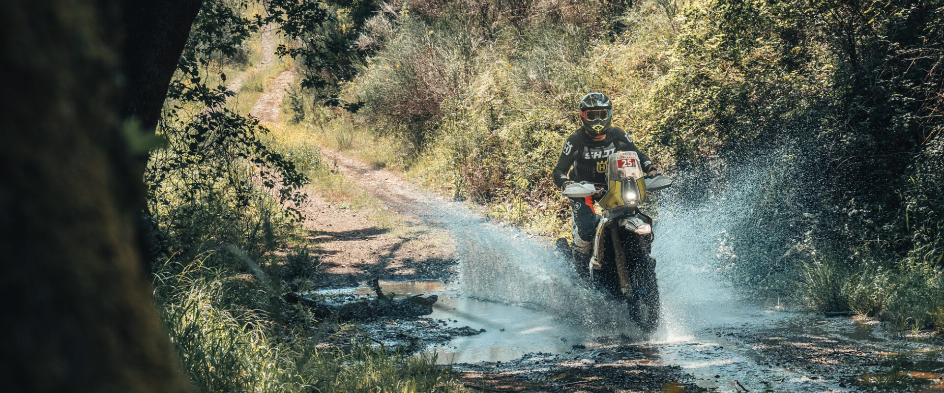 ALX0046 1 Olympia rally